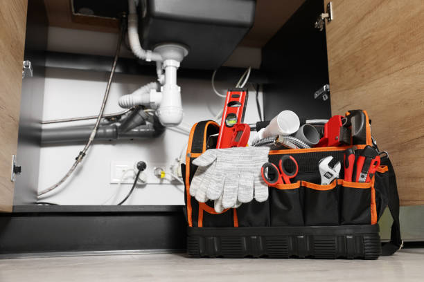 Best Plumbing Inspection Services  in Loving, NM