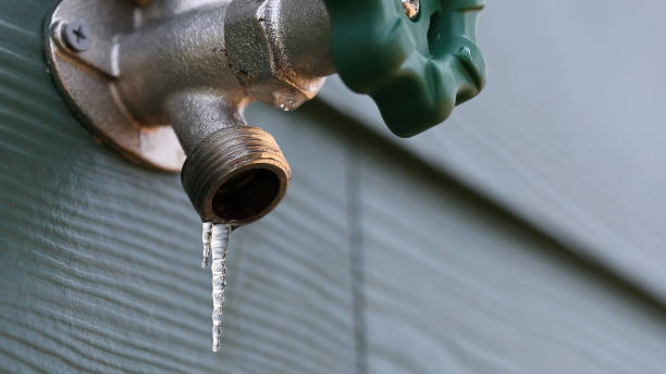 Best Affordable Plumbing Services  in Loving, NM